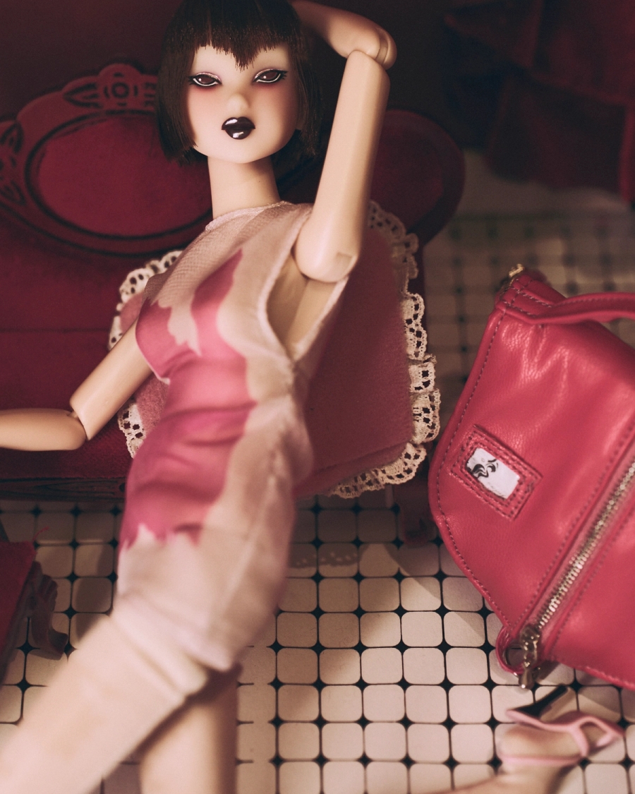 Dress, Stockings and Bag Julie Kegels