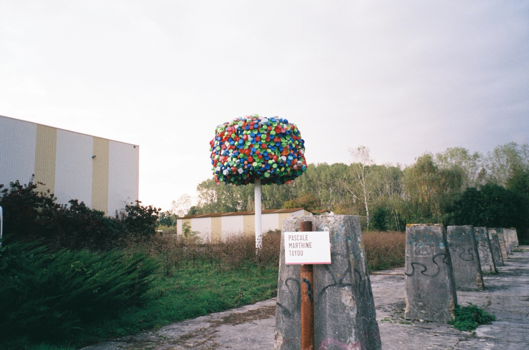 Pascale Marthine Tayou - L'arbre a palabres