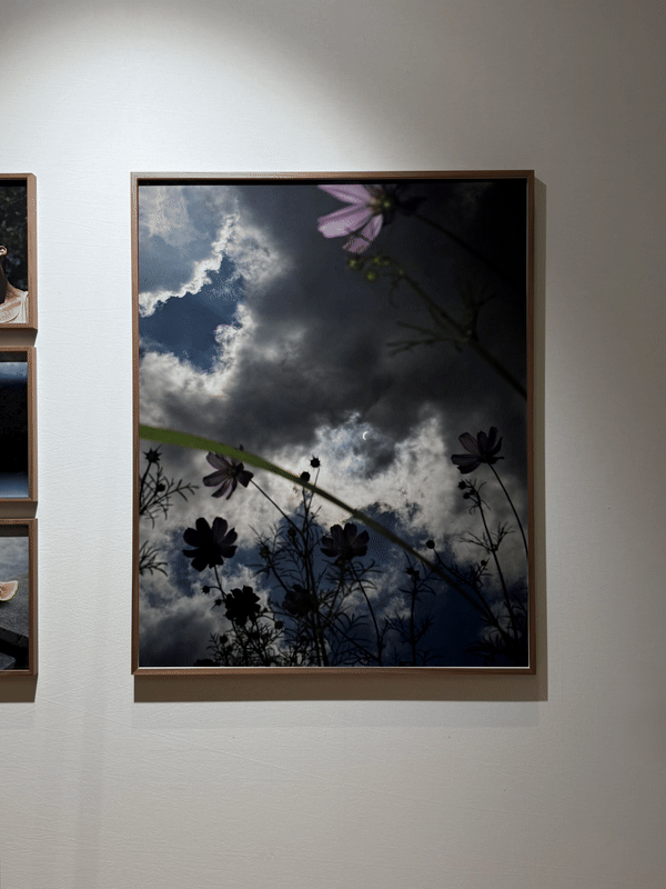 Left to right: Romain Laprade, Gallery Fifty One | Gregory Halpern, Loock Gallery