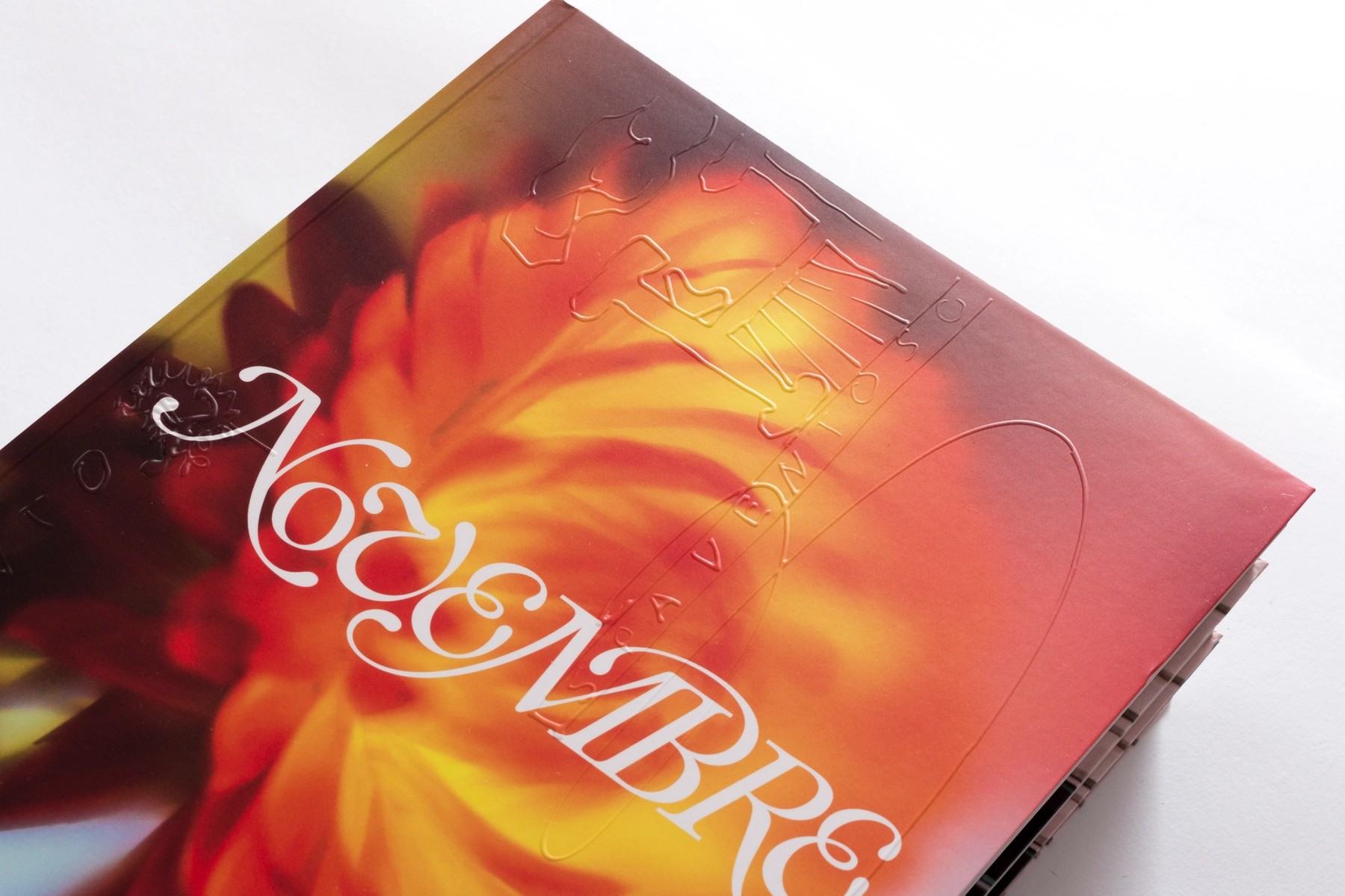 About / NOVEMBRE GLOBAL