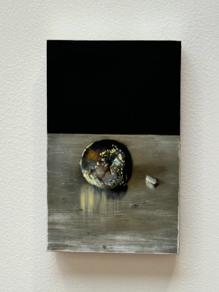 Karol Palczak, Rotting Apple on aluminium / Black Apple and Stone / Rotting Apple on Gloss / Tomato, 2024