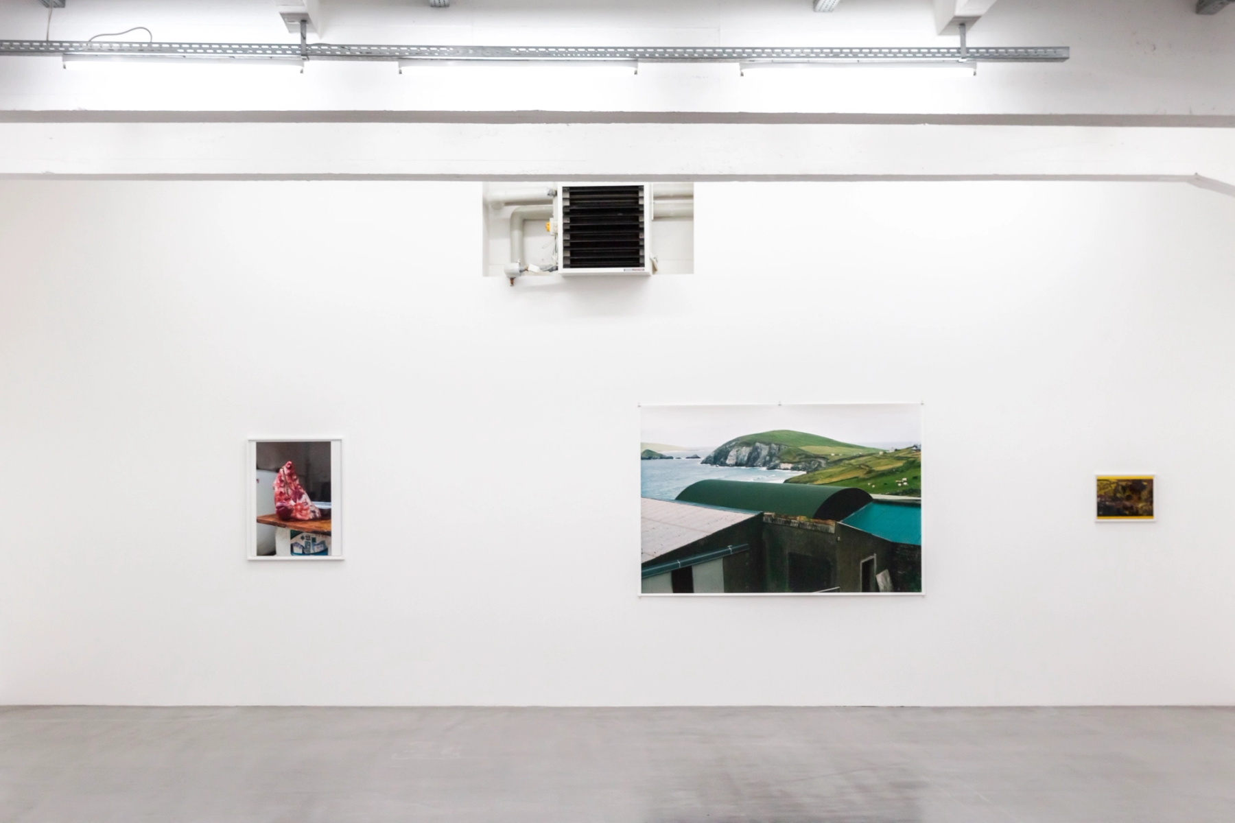 From Left to Right: Pig's Head, 2018 • Irlandreise, 2010 • Forever in Love VIII, 2007