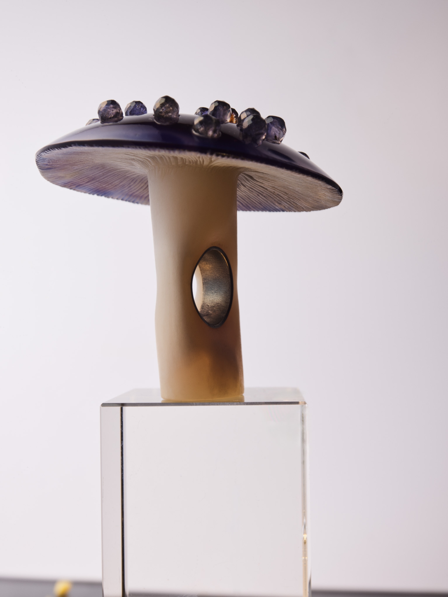 Ring Petra Zimmermann