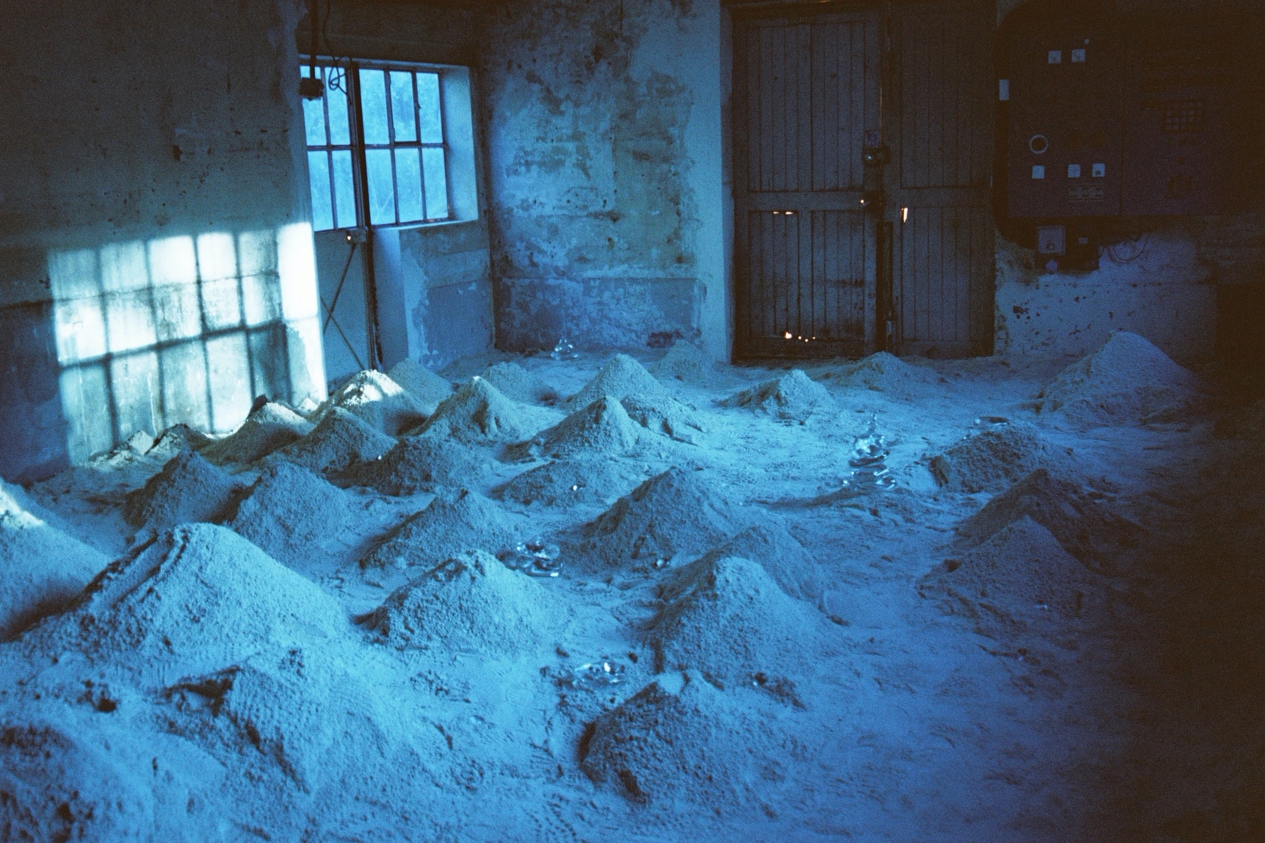 Leila White Vilmouth & Mao Tao / Plant A Cloud - We Will Meet Again