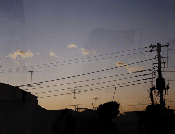 Nobuyoshi Araki, Taka Ishii Gallery