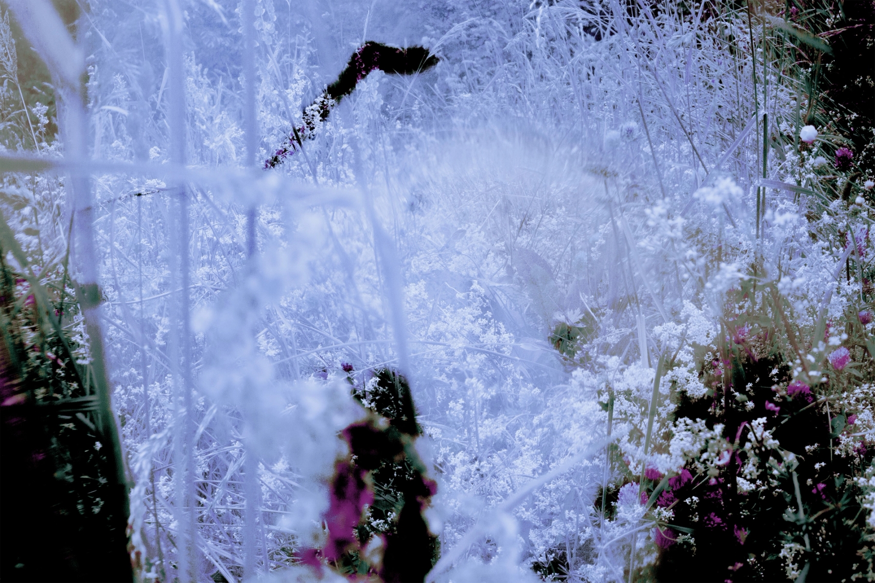 novembre.global