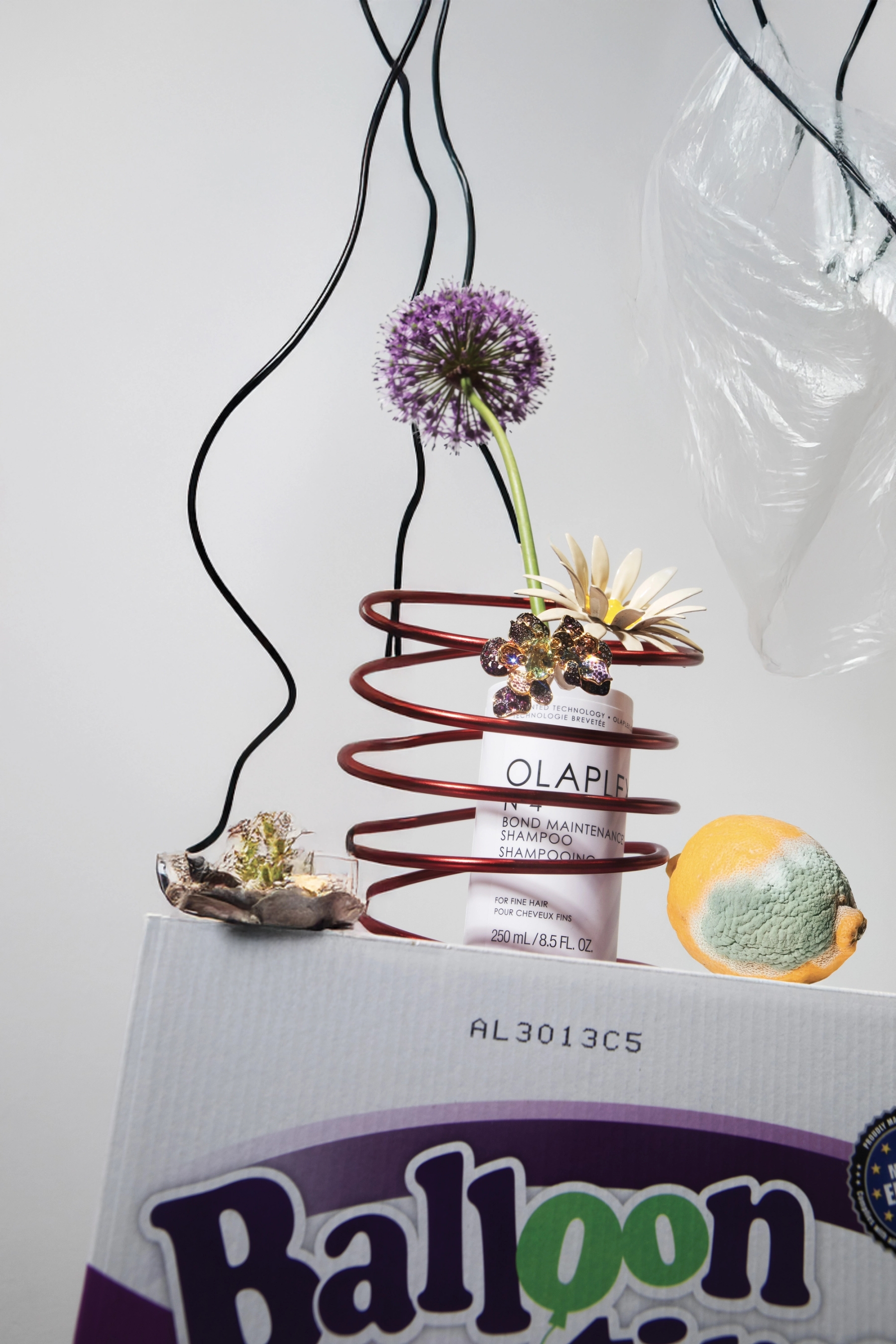 Olaplex No.4 Bond Maintenance Shampoo, Swarovski Earrings