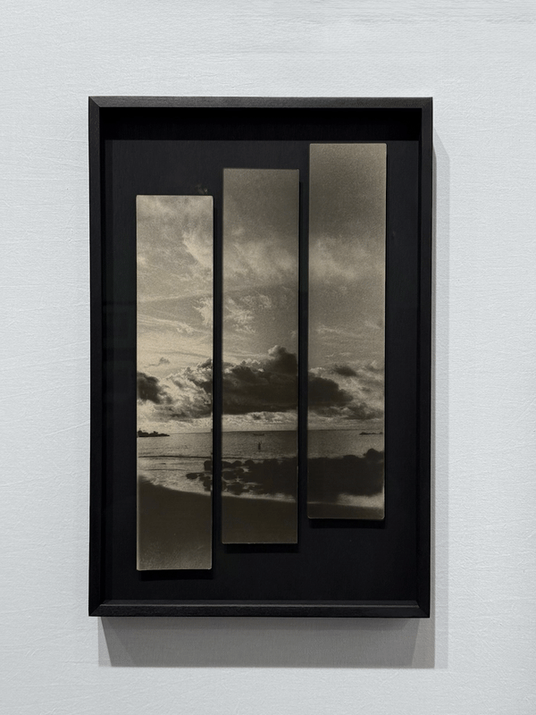 Miho Kajioka, Polka Gallery