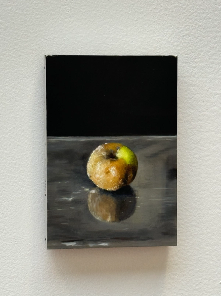 Karol Palczak, Rotting Apple on aluminium / Black Apple and Stone / Rotting Apple on Gloss / Tomato, 2024