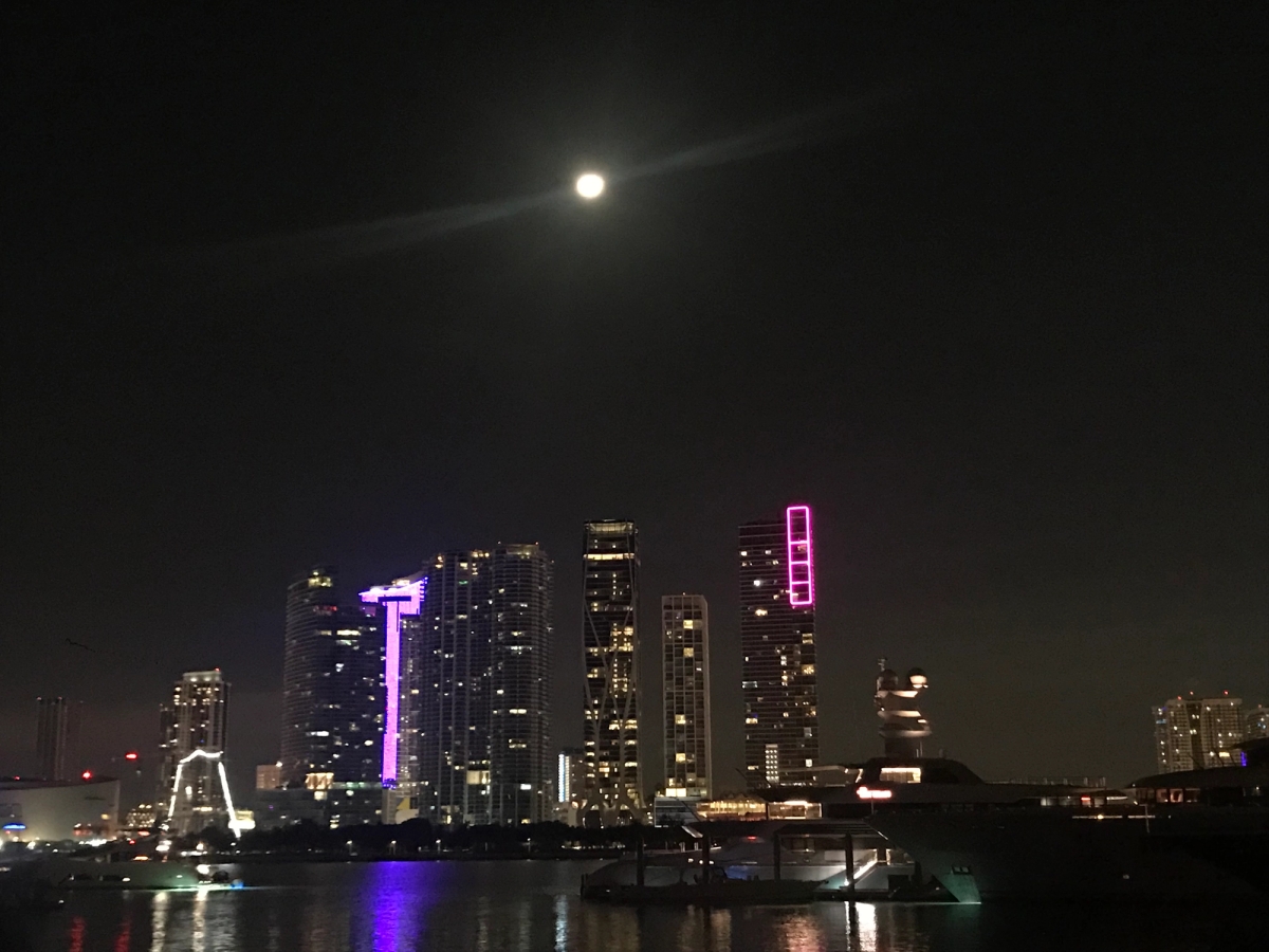 View of Miami from the Desigual x Elrow party.