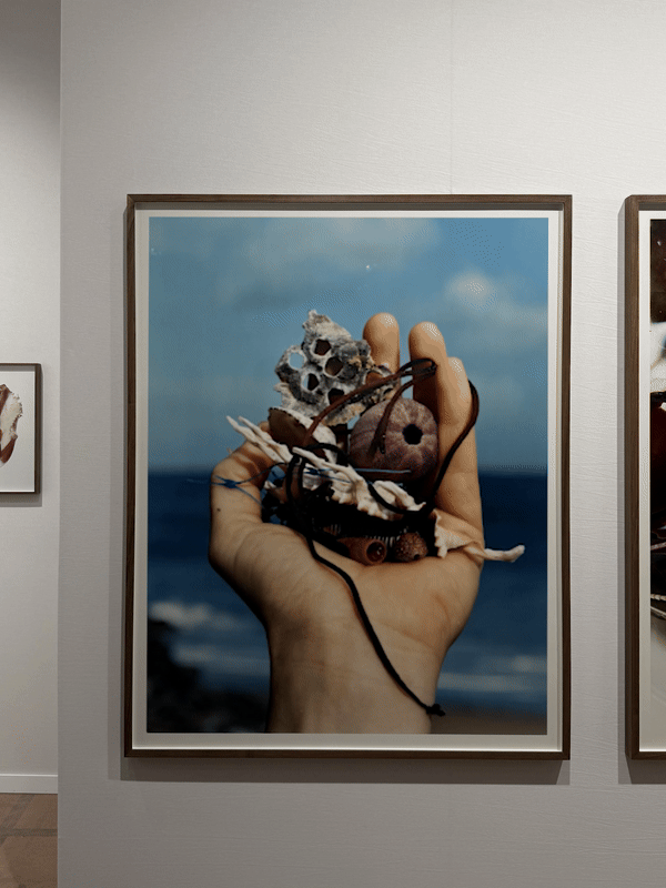 Charles Negre, Galerie Carole Lambert