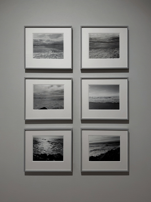 Robert Frank, Zander Galerie