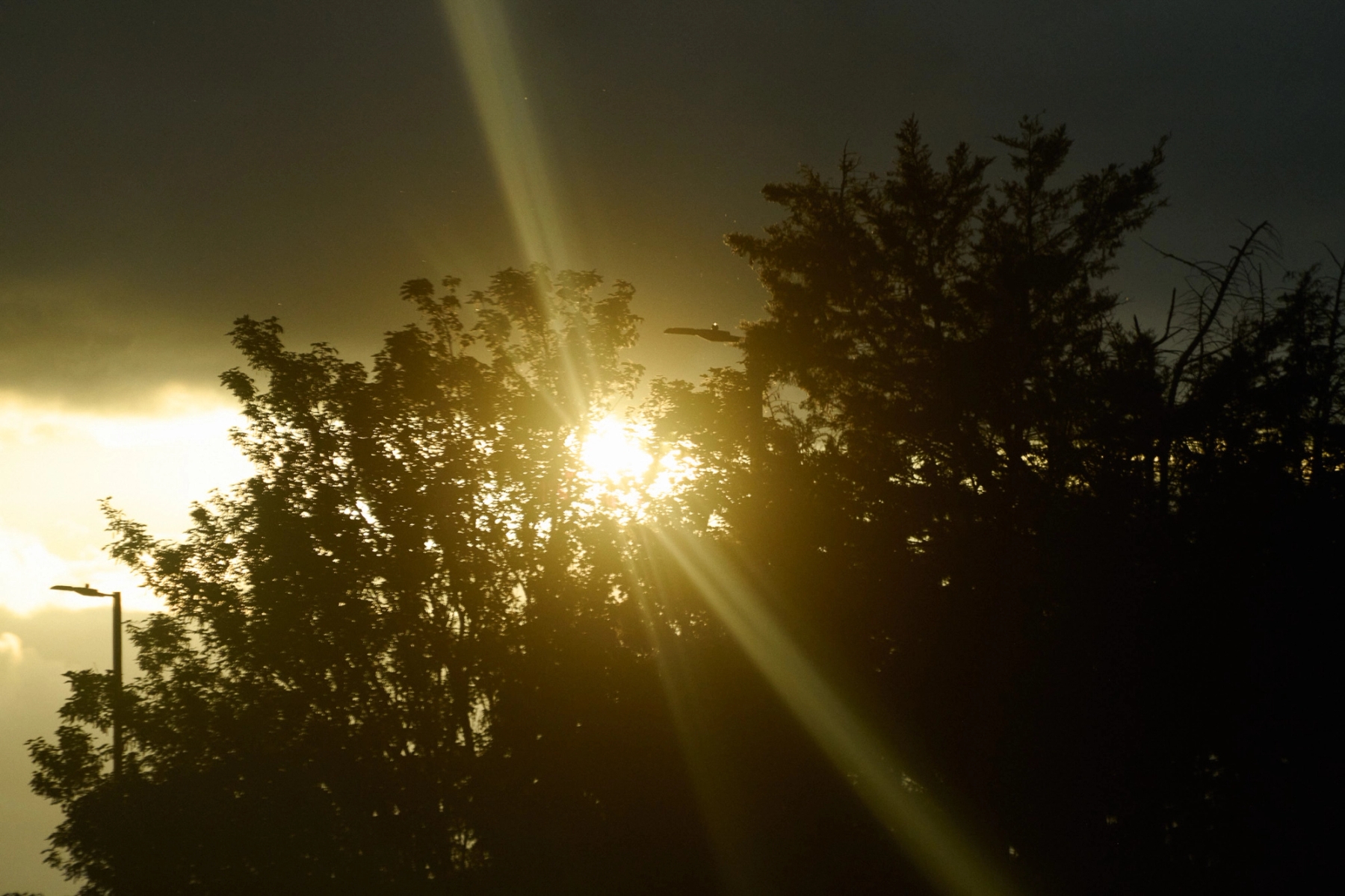 novembre.global