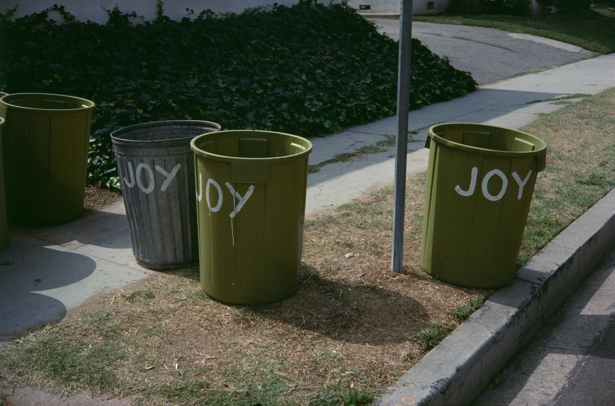 Pippa Garner, Un(tit)led (Joy Joy Joy), 1978