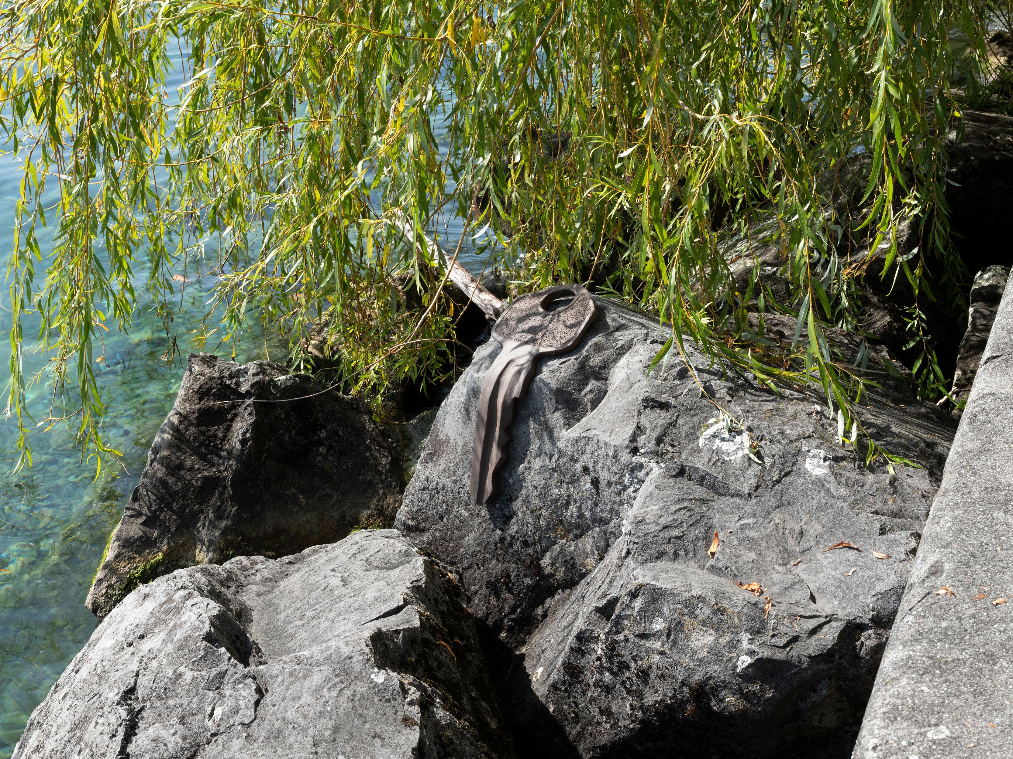 Modern nature, An Homage to Derek Jarman / NOVEMBRE GLOBAL