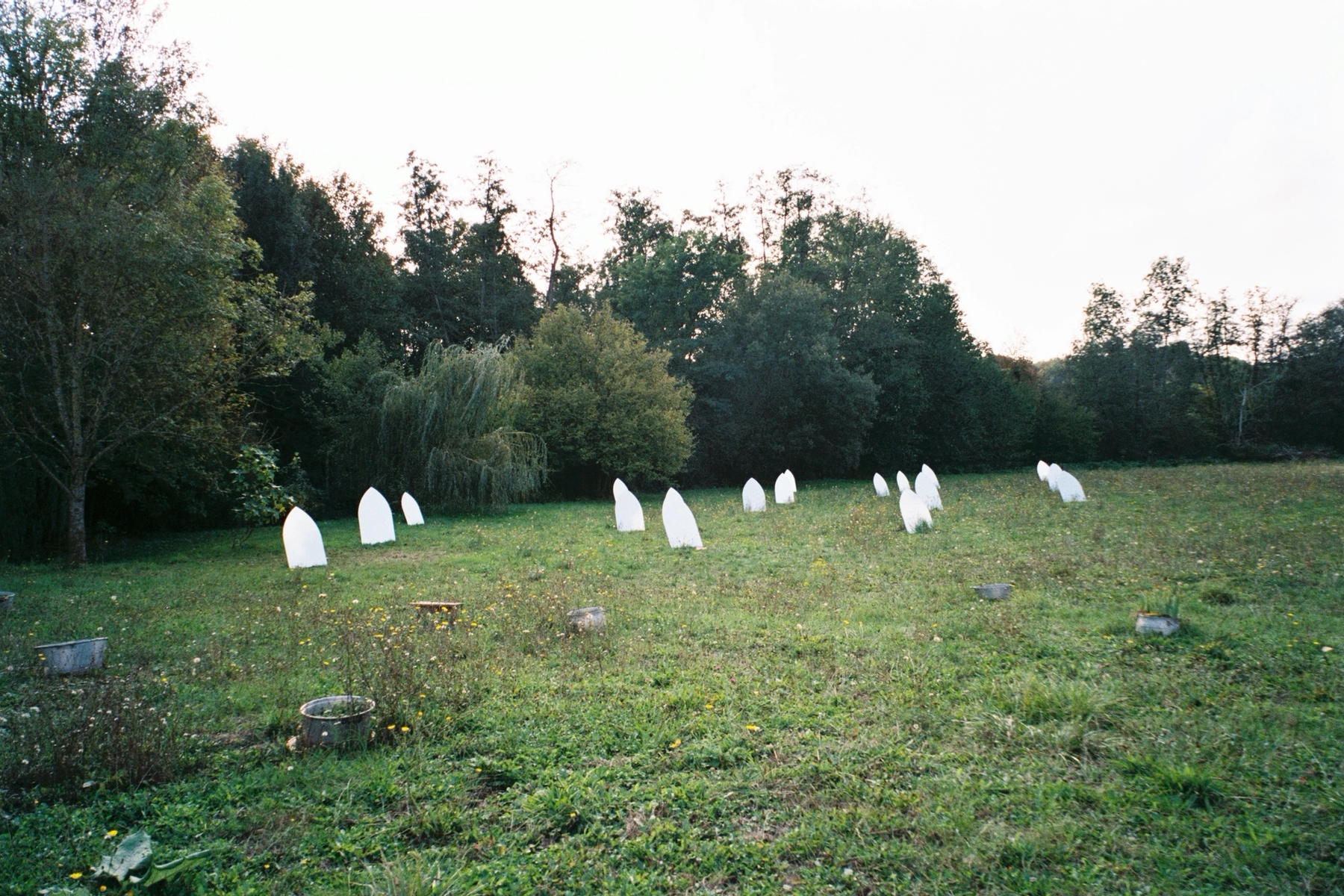 Kader Attia - Holy Land