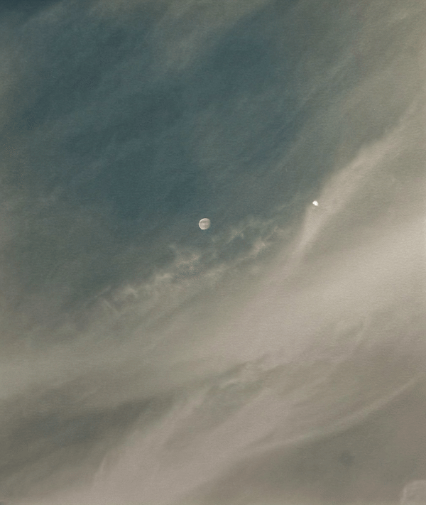 Sean Mcfarland, Casemore Gallery