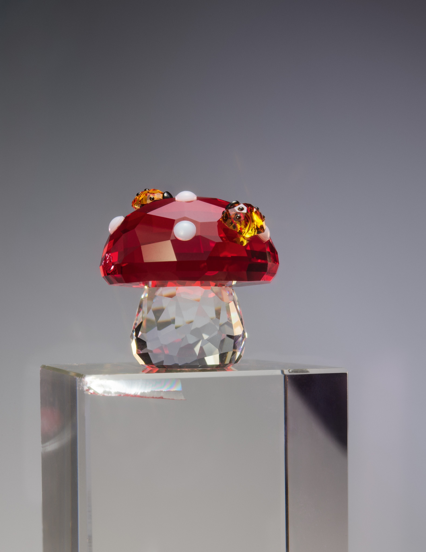 Crystal Swarovski