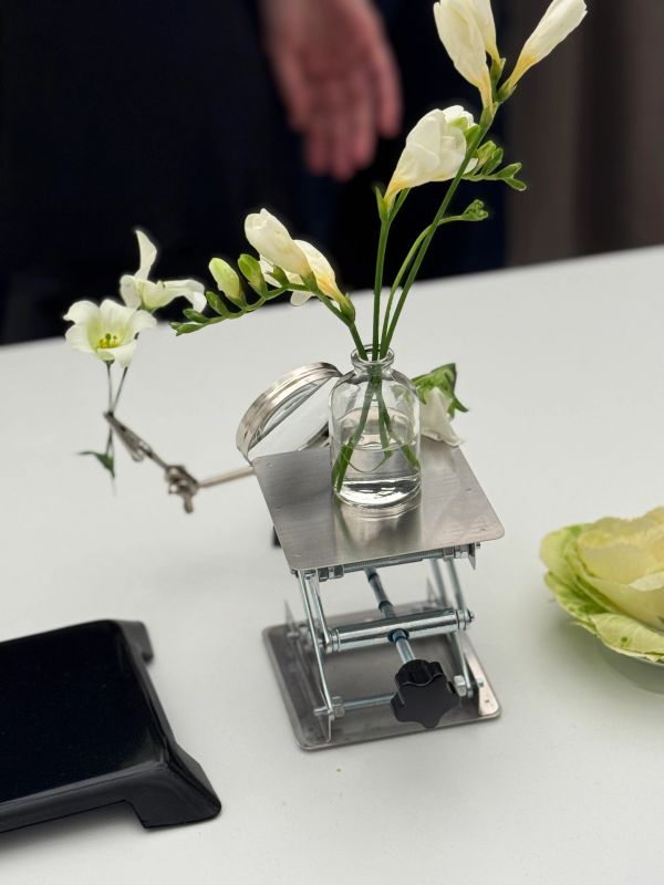 Pull&Bear: Behind the Scent 