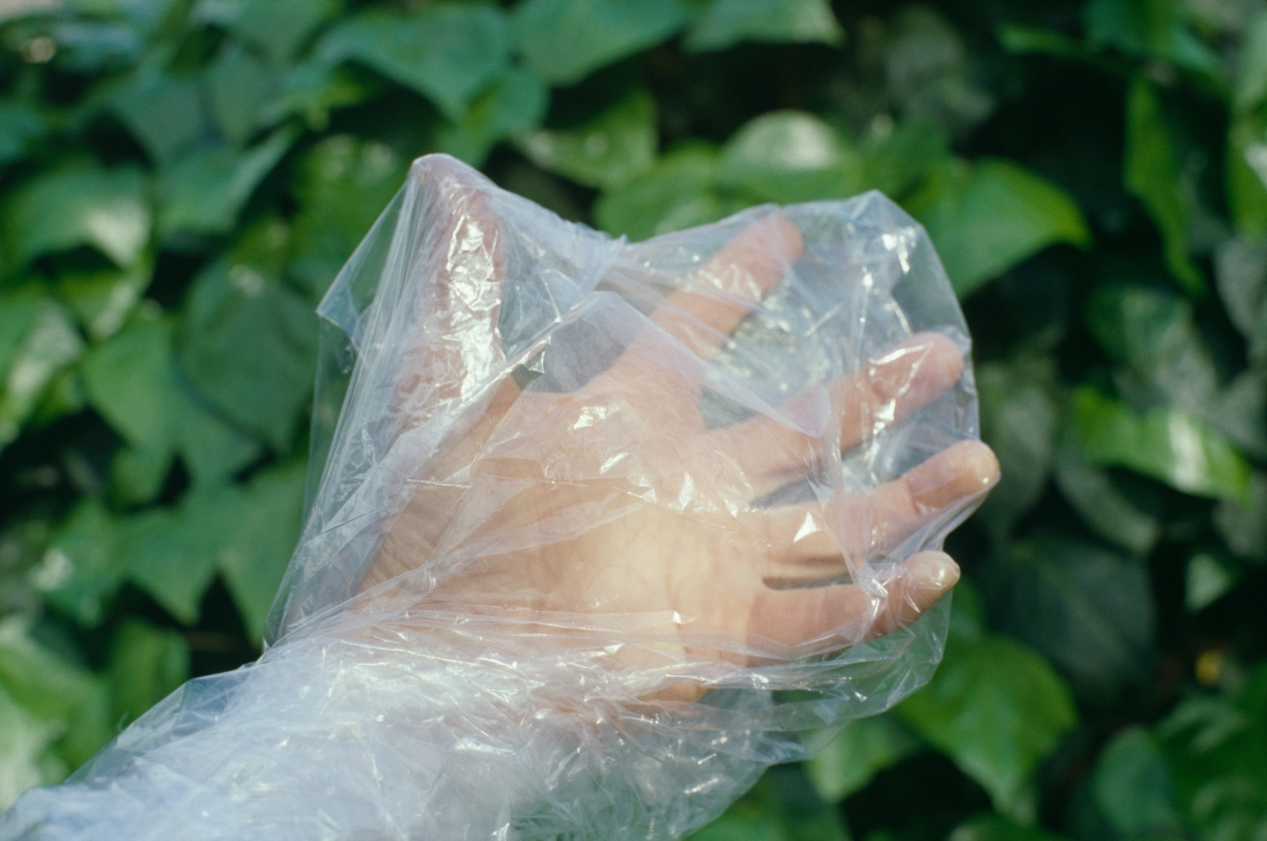 Pippa Garner, Un(tit)led, (Hand in Plastic Bag), date unknown