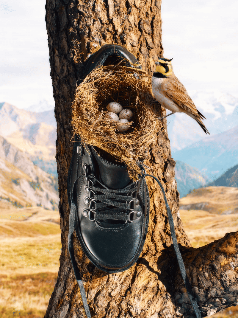 Tsanfleuron Black, Vibram Sole