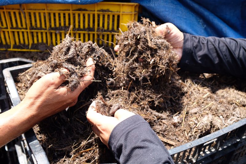 Traditional vs Circular Model