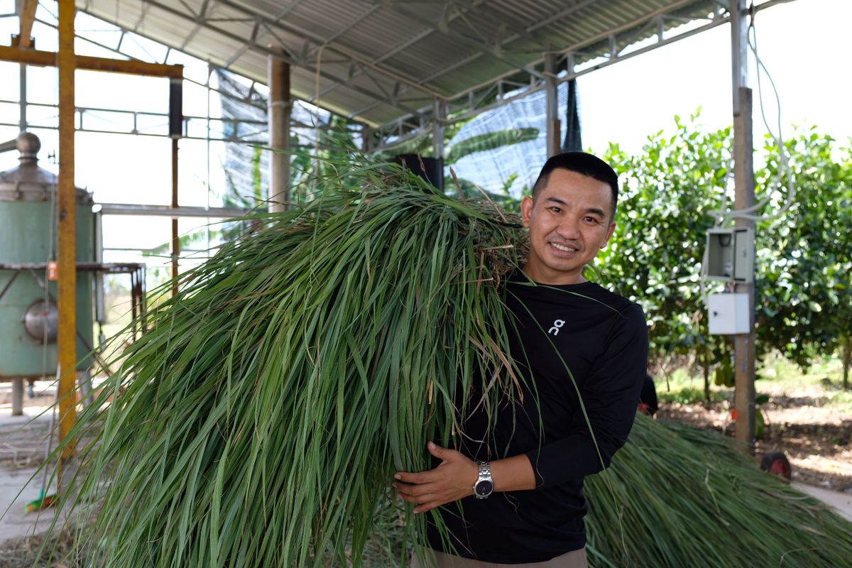 Da Bac Xanh & The Lesson on System Thinking