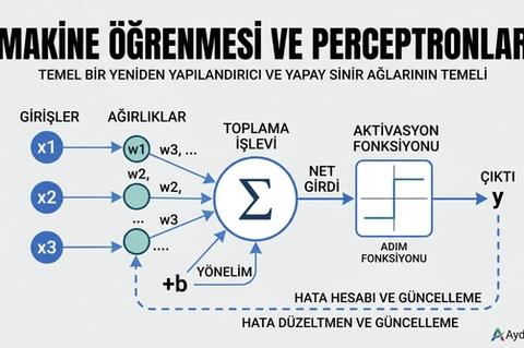 Makine Öğrenmesi ve Perceptron'lar: Temeller, Matematik ve Uygulamalar