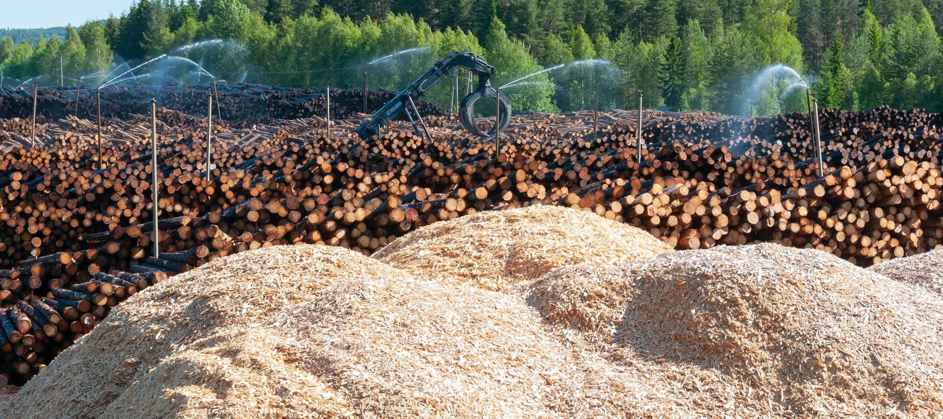 Trehugging og sagmugg