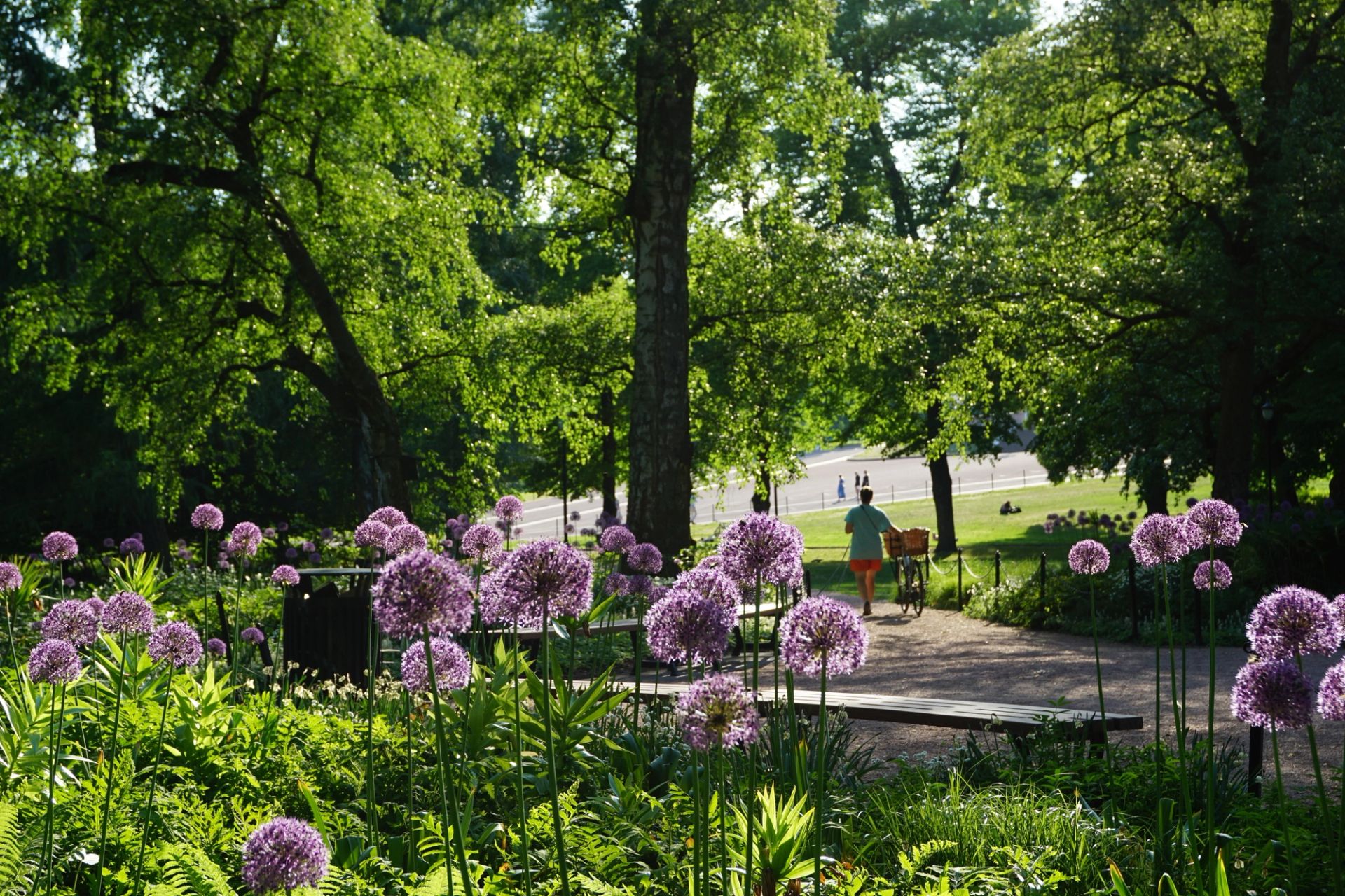 Bilde fra Slottssparken, beplanting