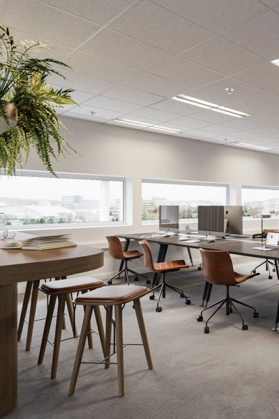 Arbeidssone, 3D rendering