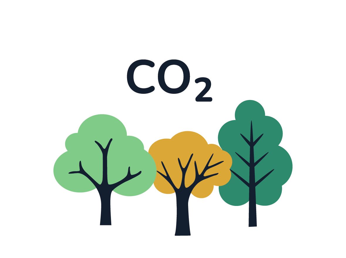 Illustrasjon av tre trær. over trærne er det en sky hvor det står skrevet CO2