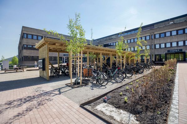 Uteområde med sykkelparkering