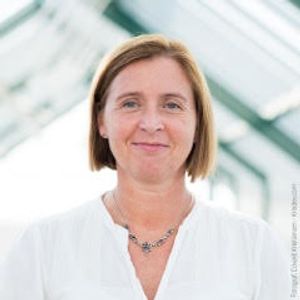 Anne Ingeborg Myhr, direktør ved GenØk.