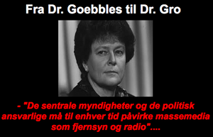 På nettstedet Menneskerettigheter.info sammenlignes Gro Harlem Brundtland med Hitlers propagandaminister Joseph Goebbels.