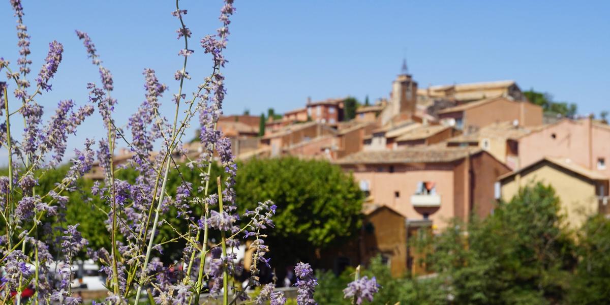 La Provence Méditerranéenne et sa Gastronomie