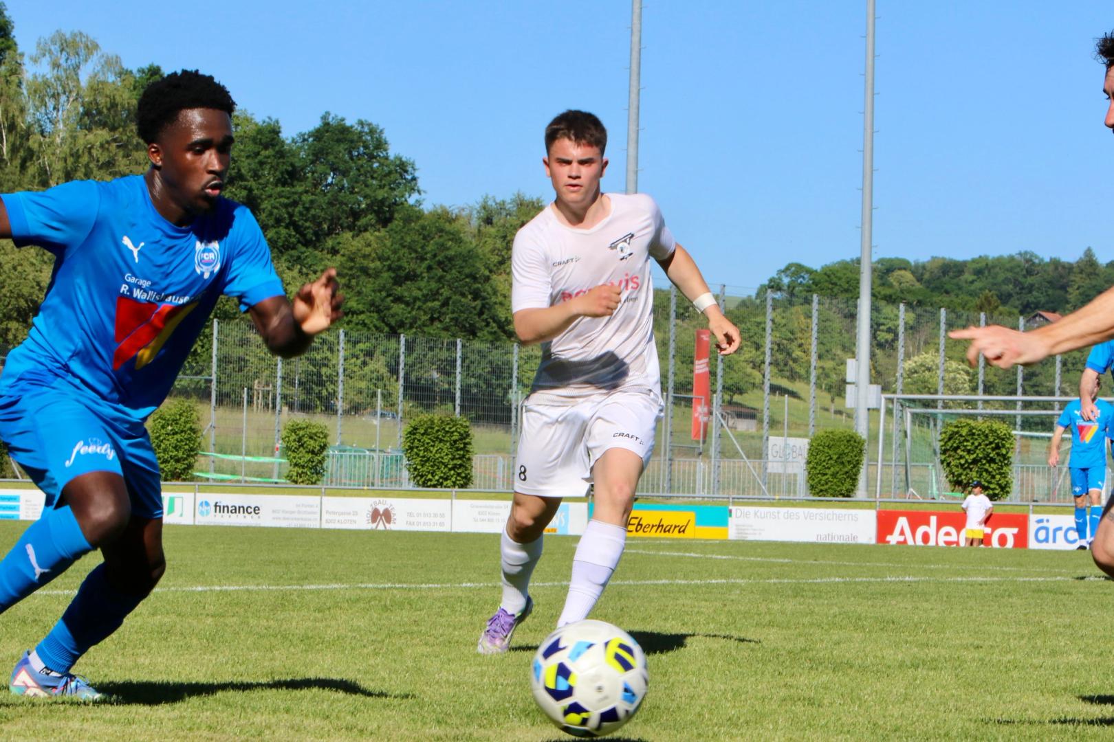 Comeback: Josh weist den Weg durch den Wald …
