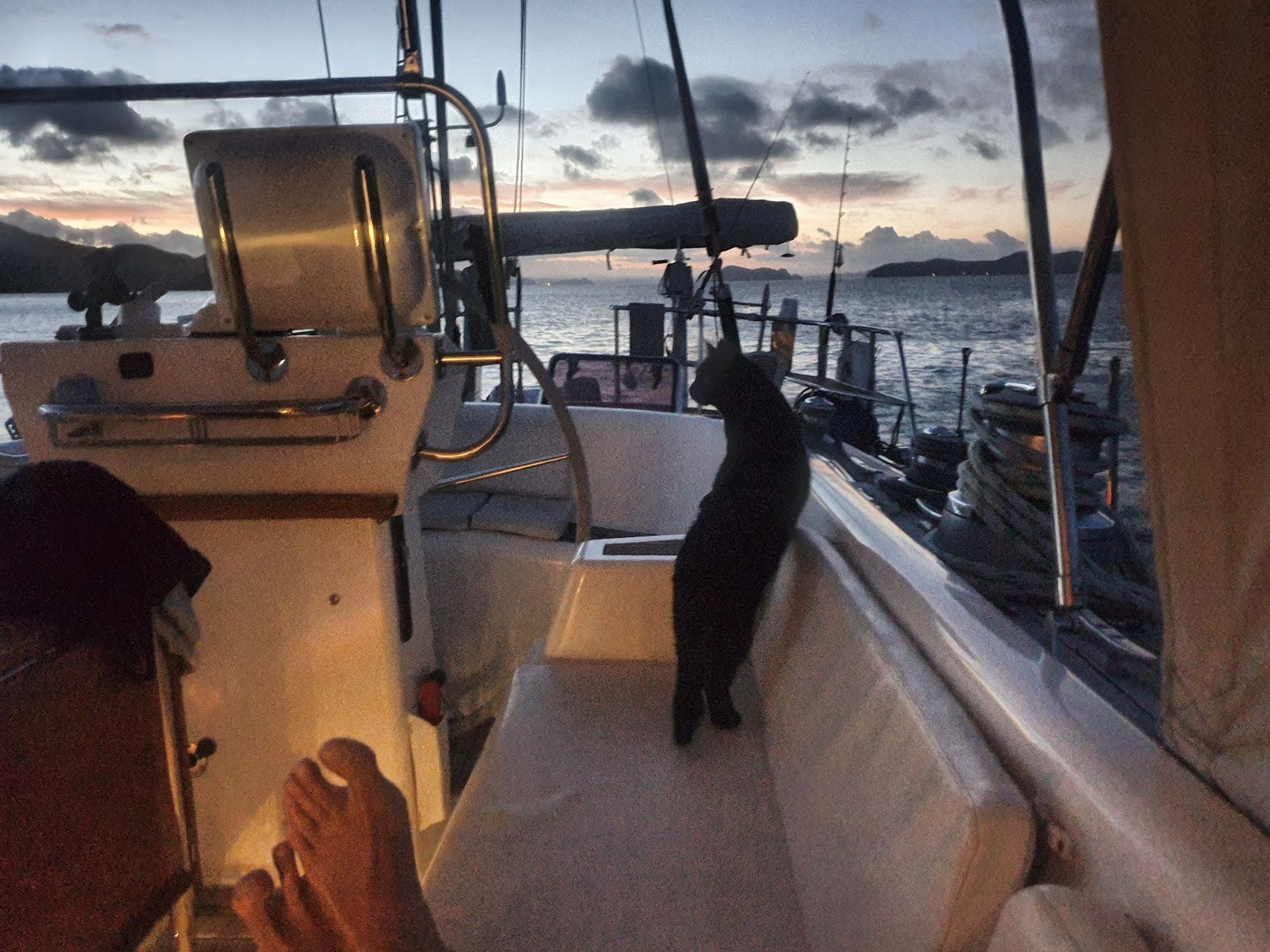 Cat watching the sunset from the cockpit