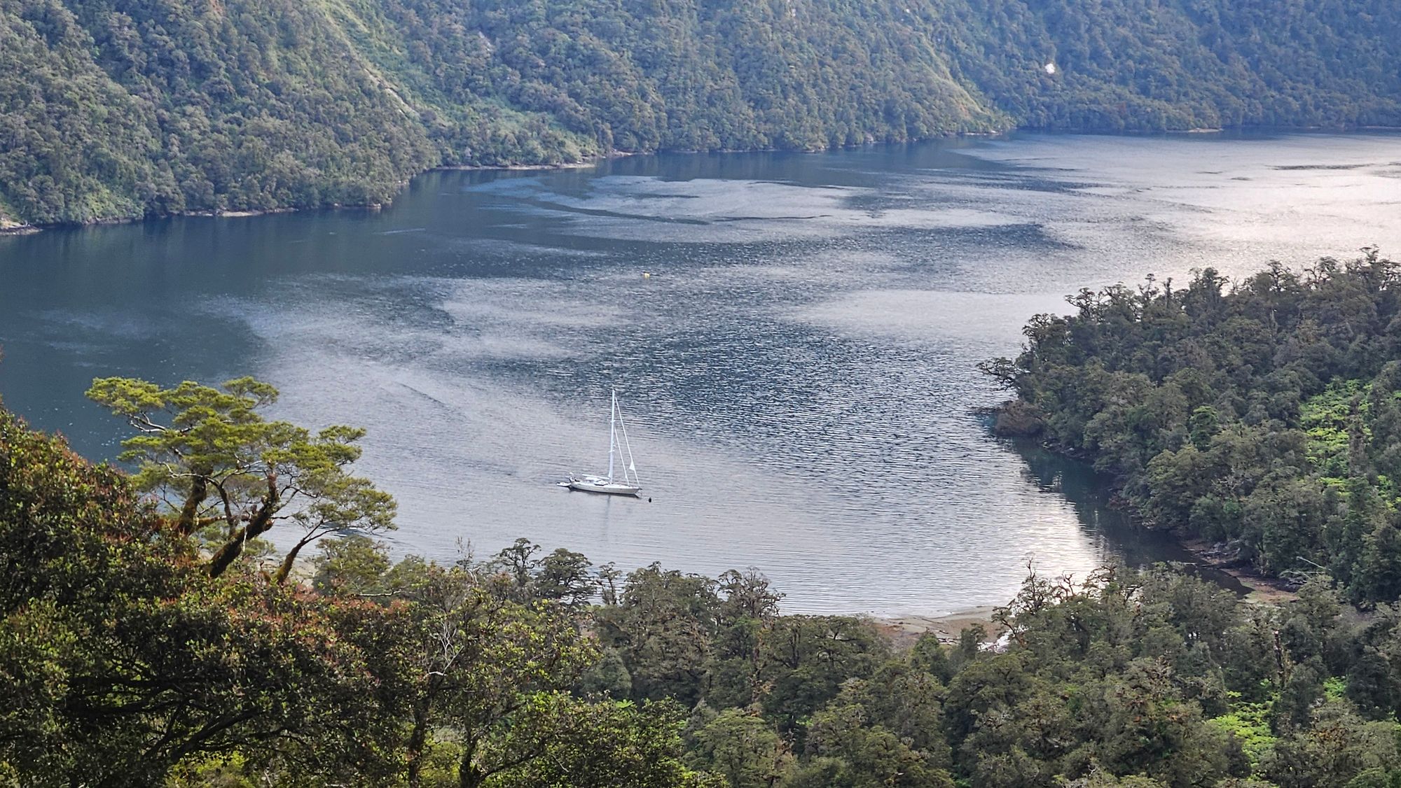 Matariki at anchor in Precipice Cove, Doubtful Sound