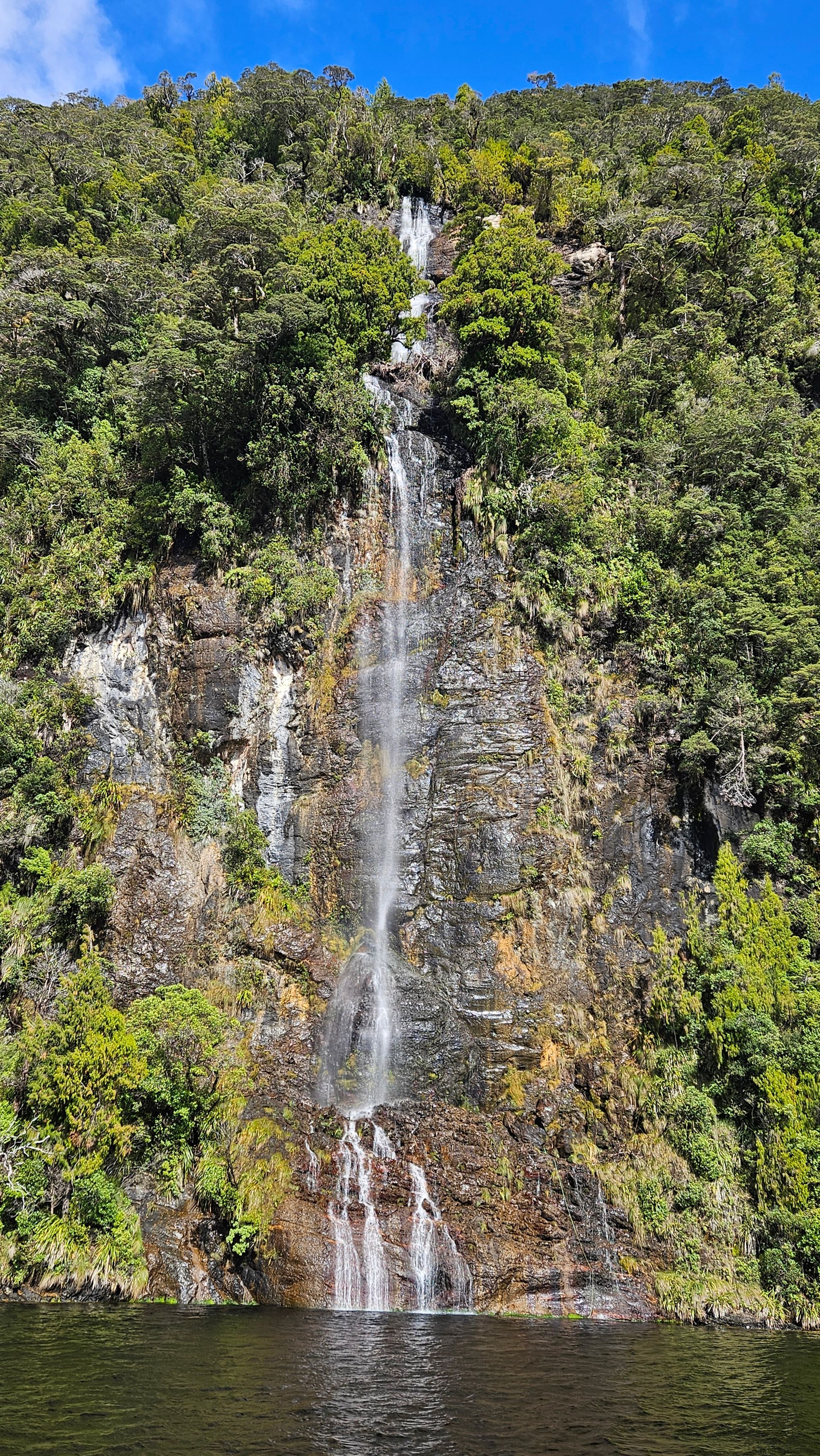 Tall single-drop waterfall cascading down a vertical moss and fern-covered cliff face in Dusky Sound