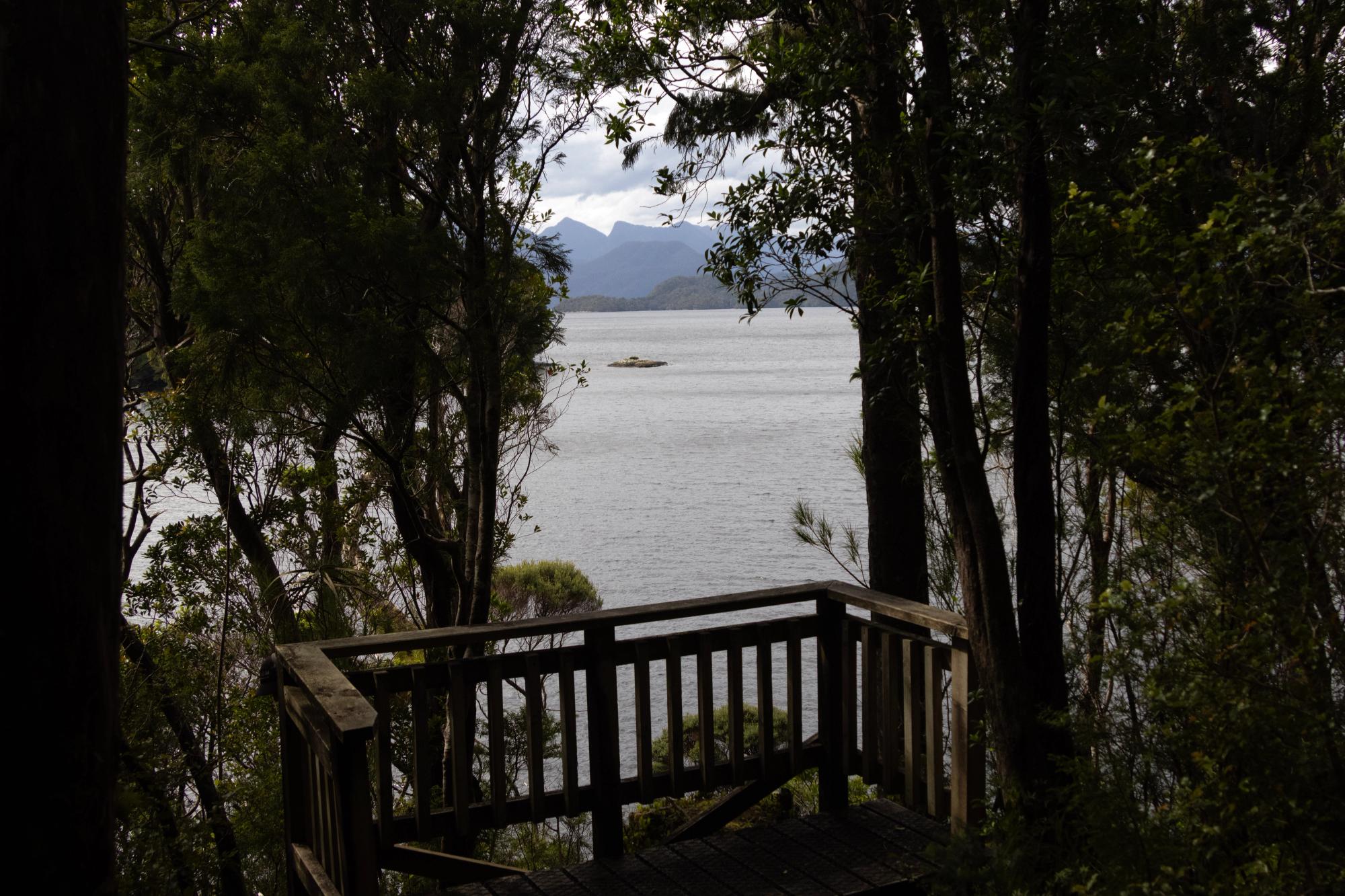 The DOC lookout platform at Astronomer Point, Dusky Sound — dark bush framing a view over the sound with mountains beyond