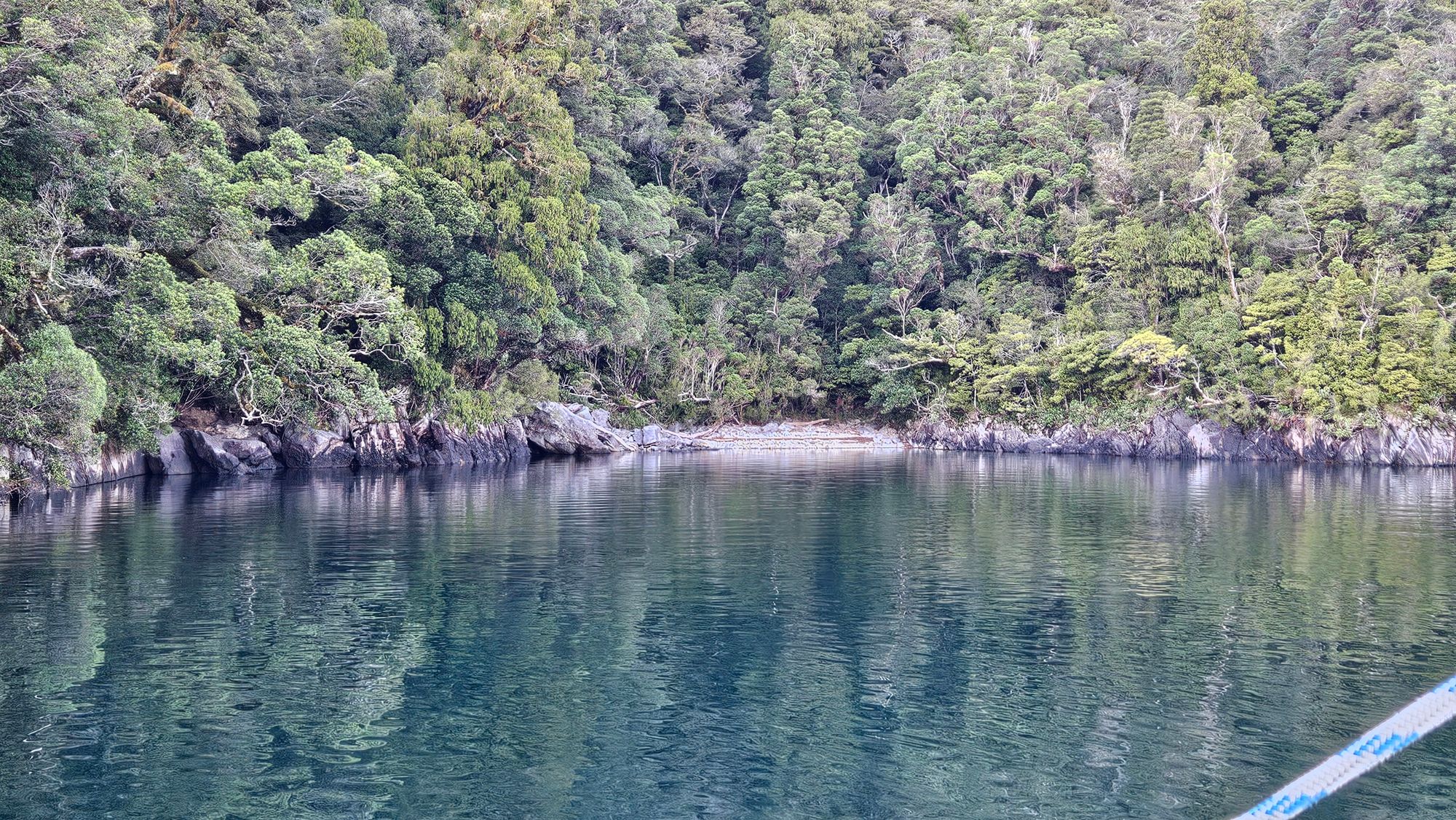 The view from anchor in Amazon Cove, Bligh Sound
