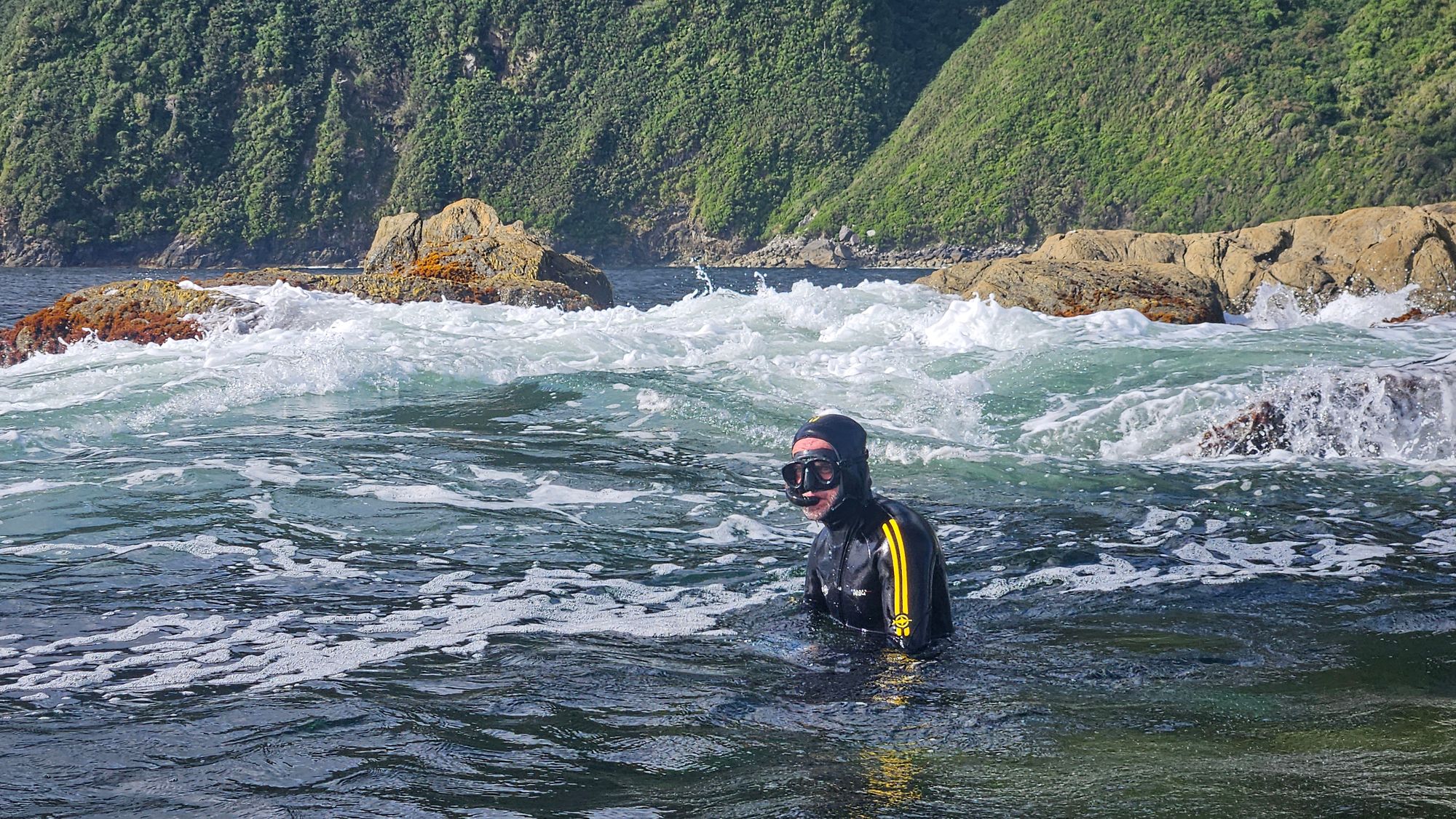 Freediver emerging from the surge zone onto rocks in Dusky Sound, wetsuit and mask, kelp-covered rocks behind