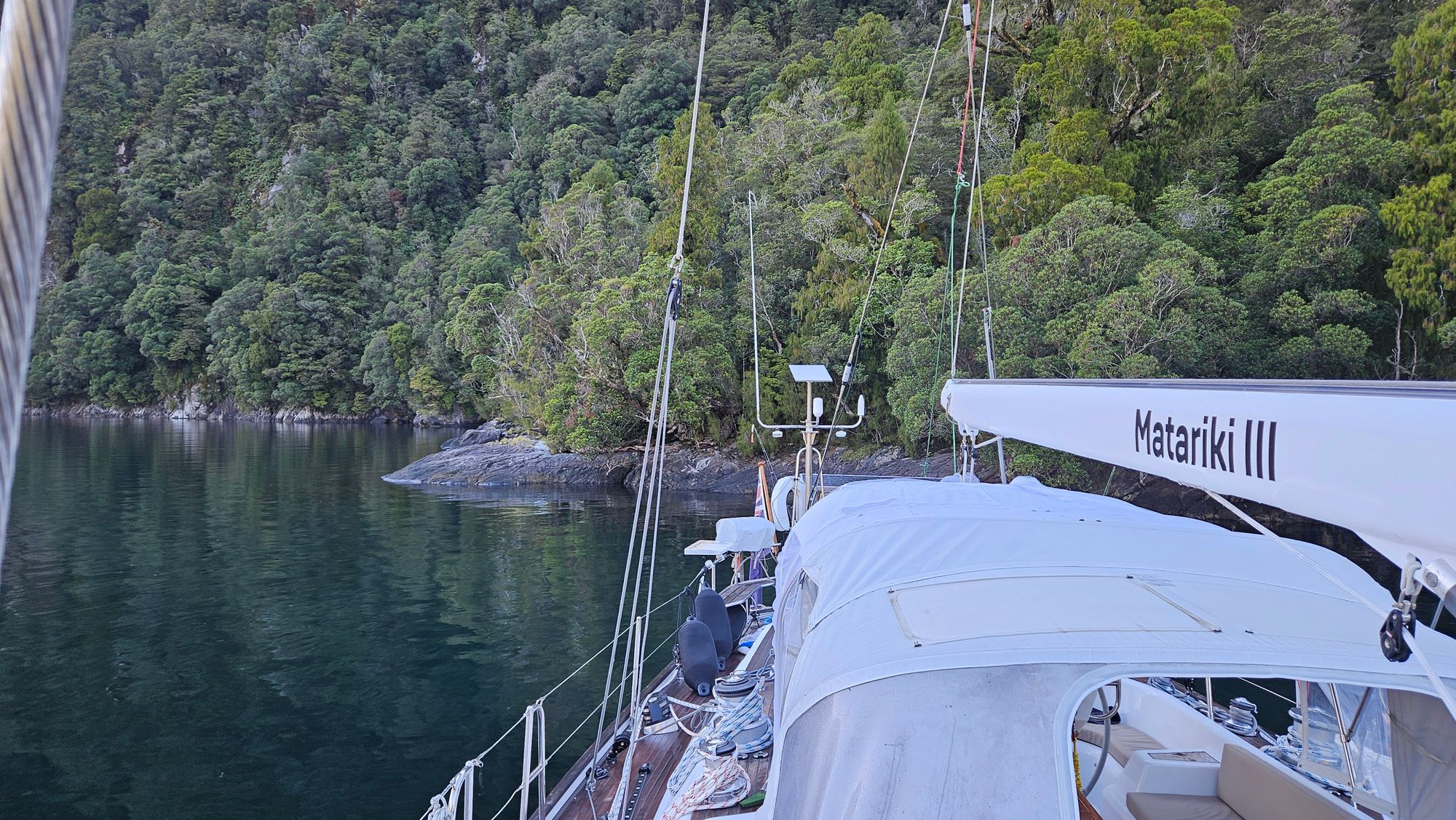 Stern-tied in Amazon Cove