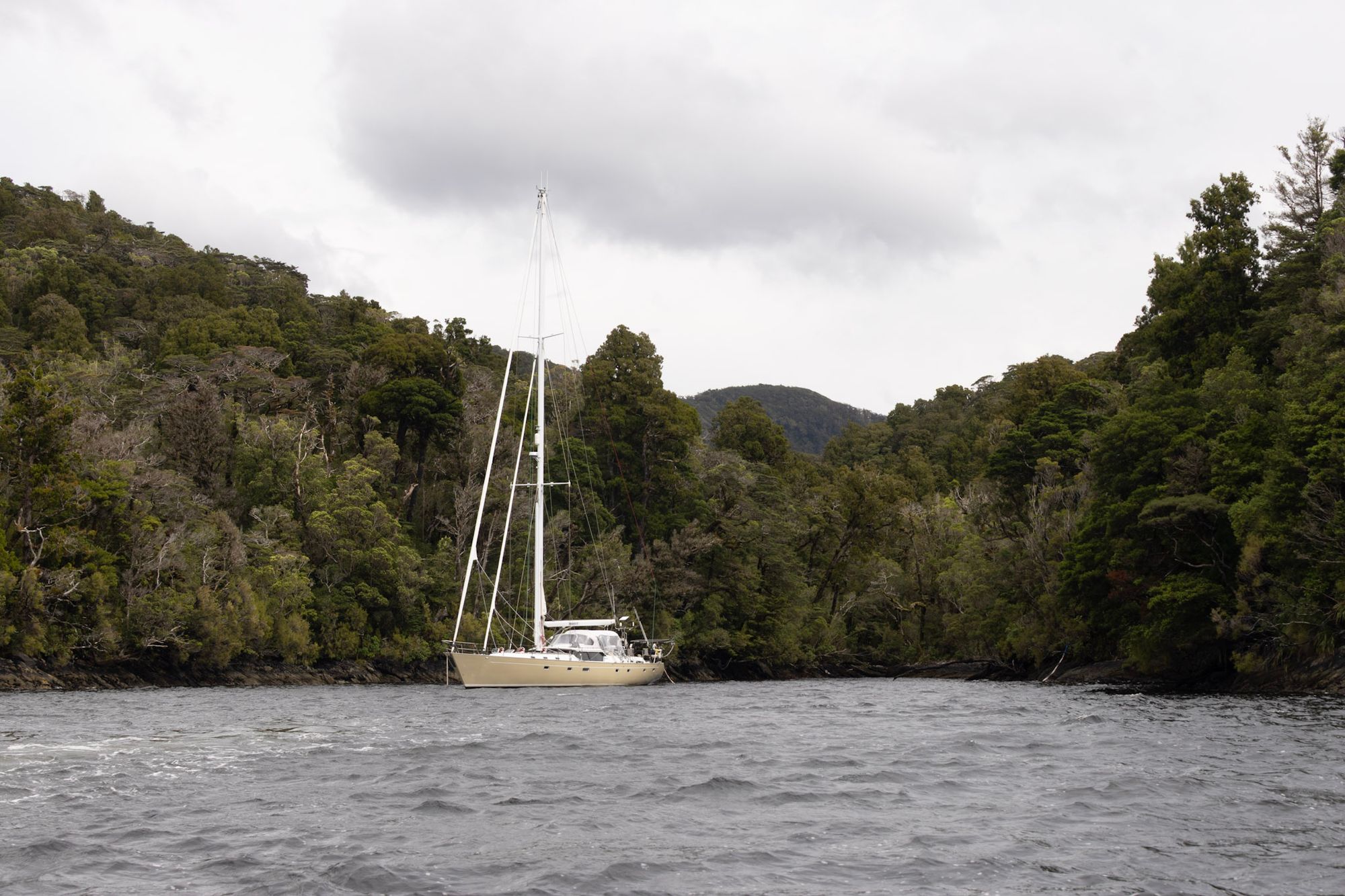 Matariki III stern-tied at Pickersgill Harbour seen from shore through overhanging trees, a motor yacht also at anchor behind
