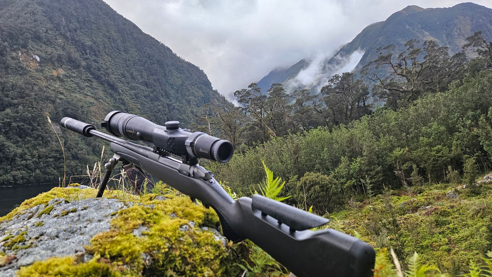 The view from a lookout above Crooked Arm