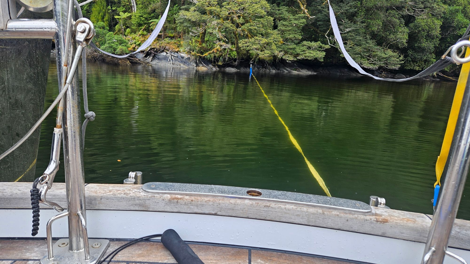 Matariki III stern-tied in Pickersgill Harbour, Dusky Sound, framed by ancient beech trees — exactly where Cook moored HMS Resolution in 1773