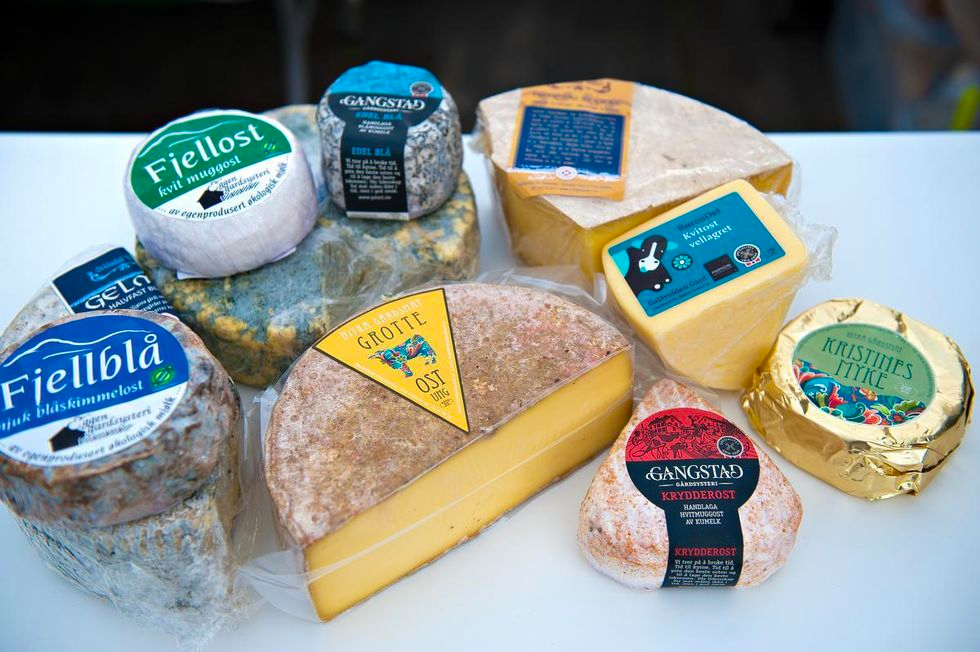 Divers fromages norvégiens de « luxe »