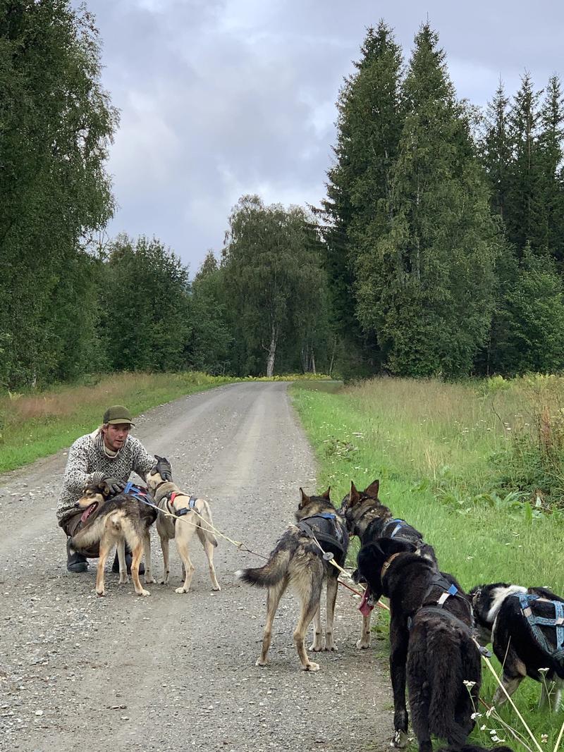 Fredrik et ses chiens sur un chemin de terre dans une forêt