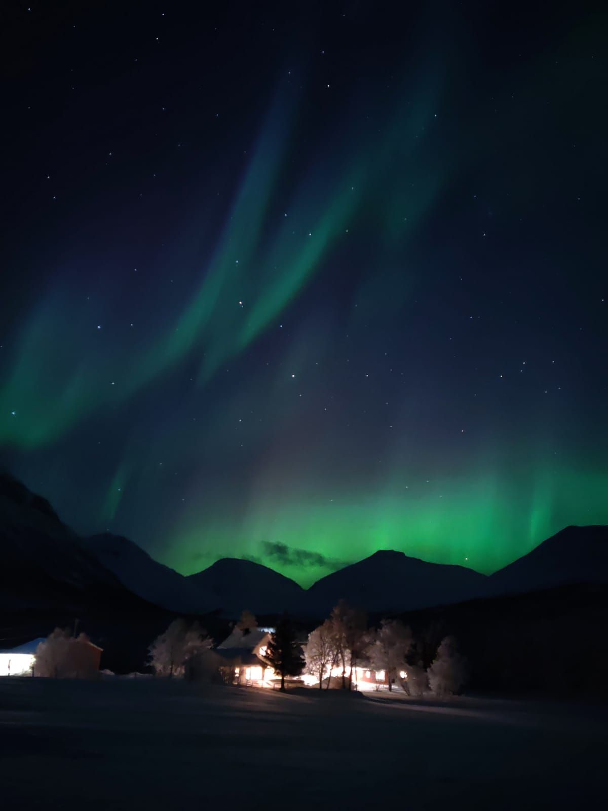 Photo d'aurores boréales vues du camp Tamok